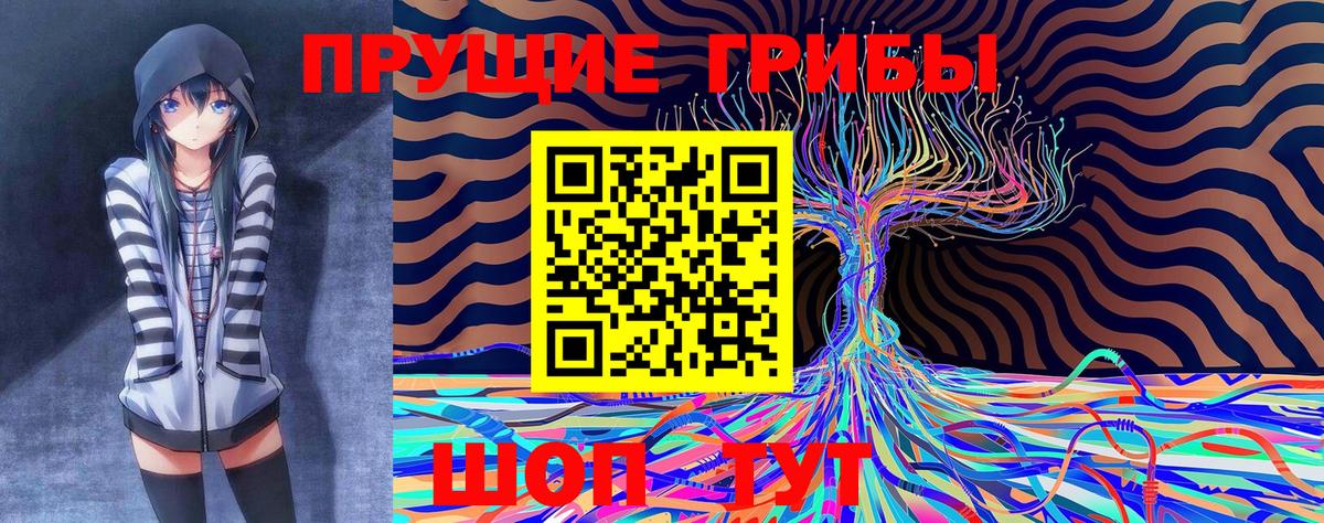 Псилоцибиновые грибы MAGIC MUSHROOMS  Вход с VPN  Галлюциногенные грибы GOLDEN TEACHER  Лысьва 