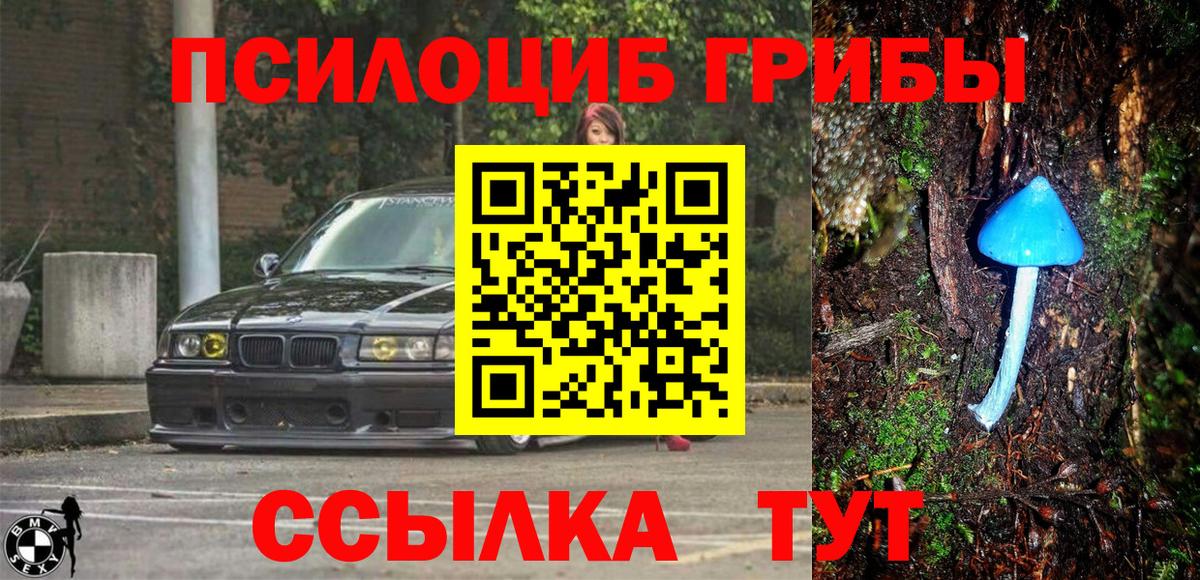 Галлюциногенные грибы Psilocybe Лысьва